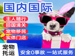 路桥机场托运国际宠物托运 【国